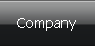 The Company